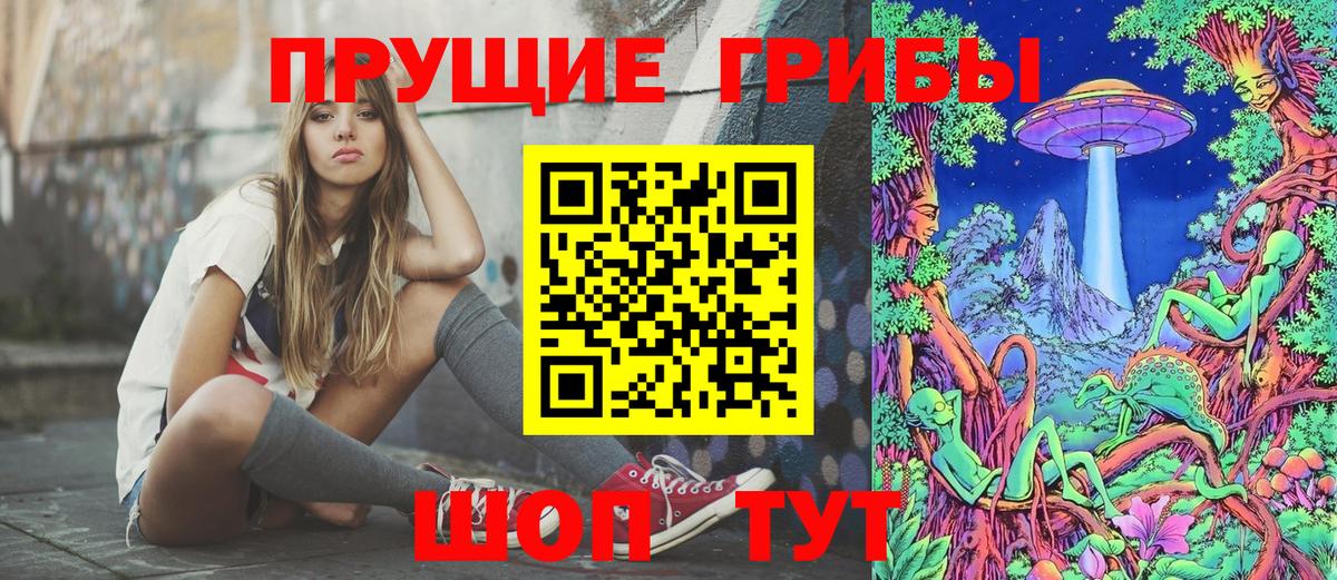 магазин    Вход с VPN  Гай  Галлюциногенные грибы GOLDEN TEACHER 